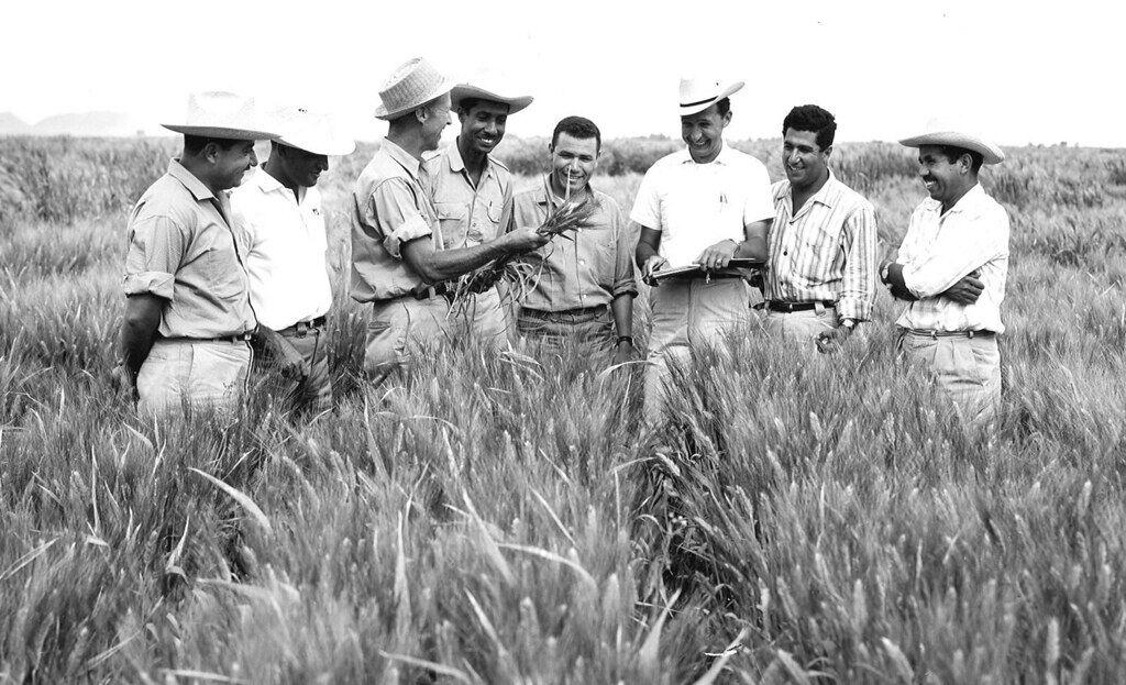 Dr. Norman Borlaug training young scientists
